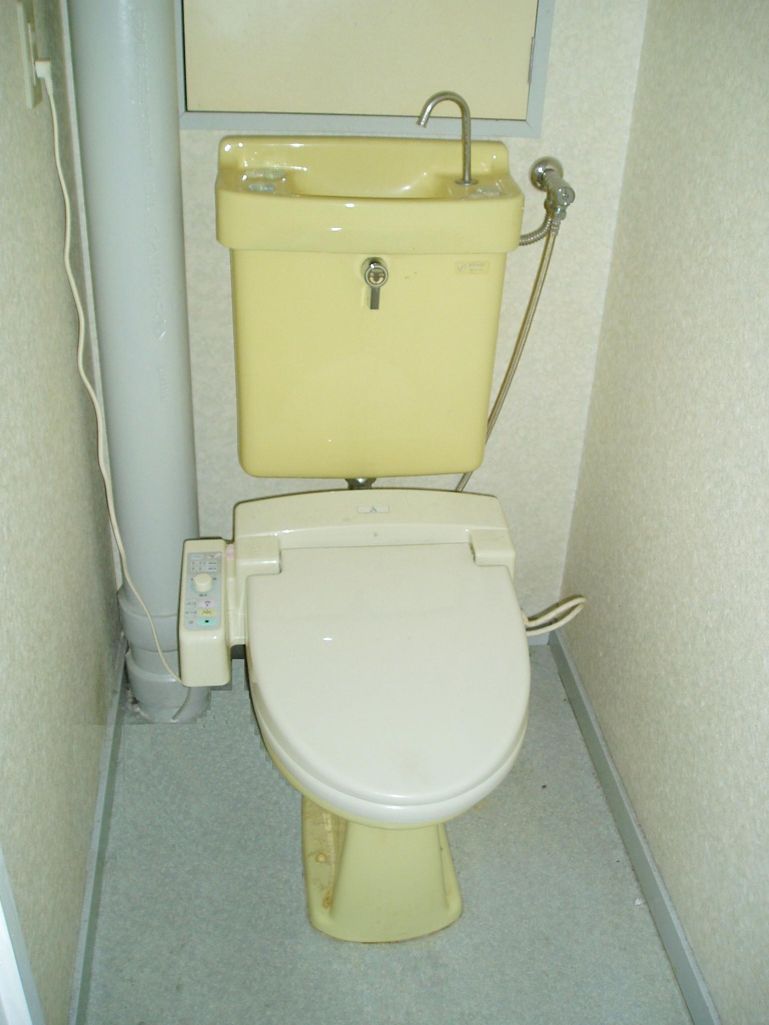 Toilet