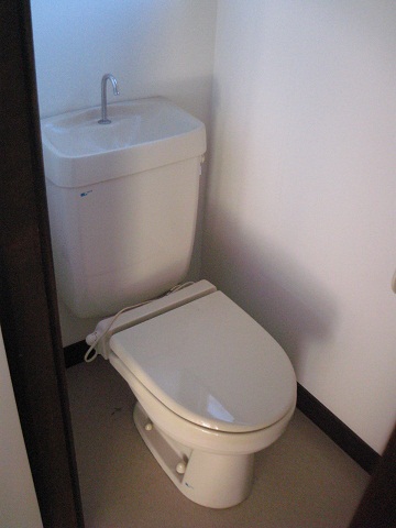 Toilet. Comes with warm toilet (heating toilet seat) is