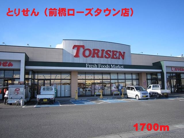 Shopping centre. Torisen until the (shopping center) 1700m