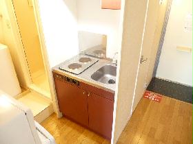 Kitchen. Electric stove (2 burners), so peace of mind