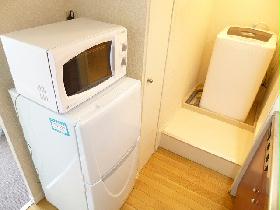 Other. Washing machine and refrigerator and microwave