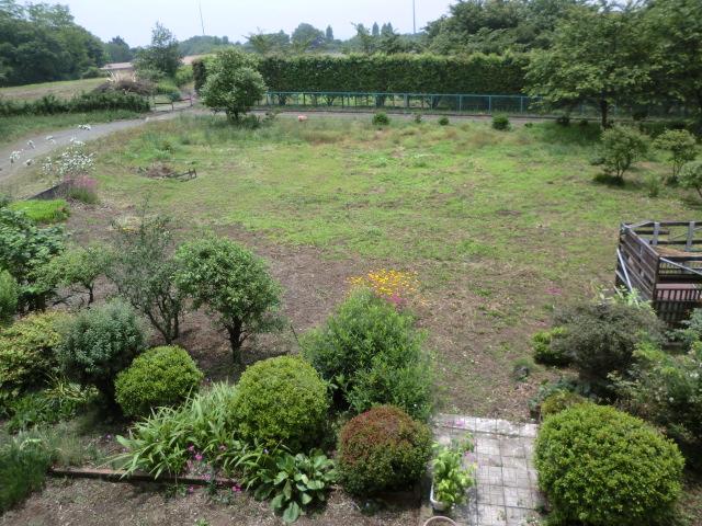 Garden. Local (June 2012) shooting