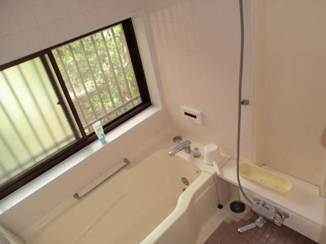 Bathroom. Local (June 2012) shooting