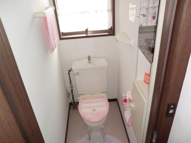 Toilet. Local (June 2012) shooting