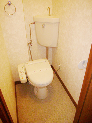 Toilet. Toilet