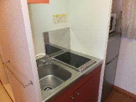 Kitchen. Refrigerator of enhancement, Microwave