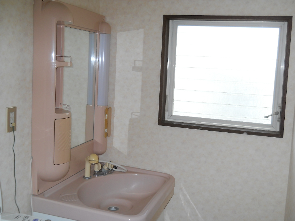 Washroom. Vanity shower. There is also a window.