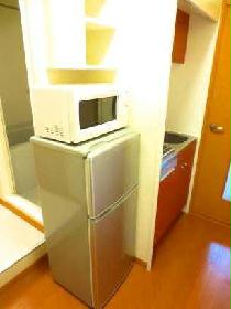 Kitchen. Microwave & refrigerator