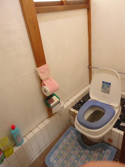 Toilet. Indoor (April 2012) shooting