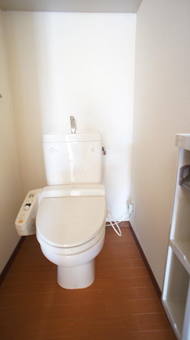 Toilet. Warm water washing toilet seat! ! 