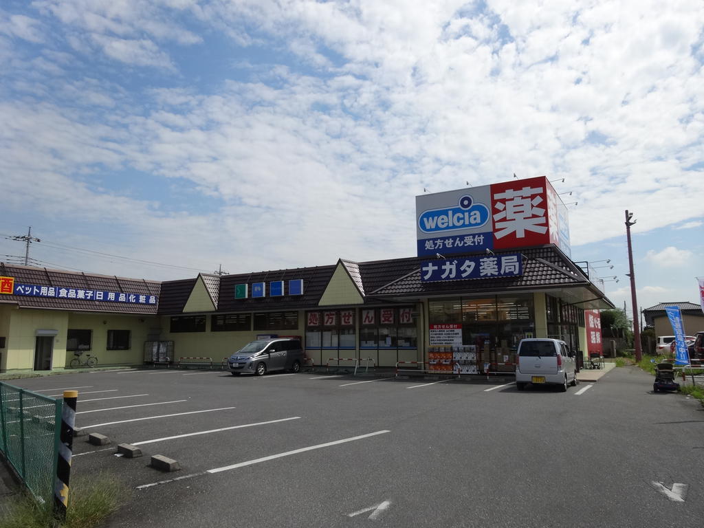 Dorakkusutoa. Nagata pharmacy south entrance shop 508m until (drugstore)