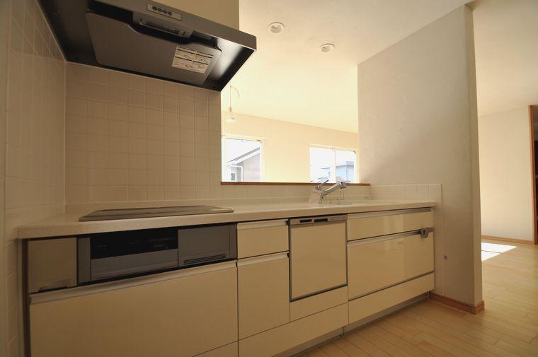 Kitchen. Caring for easy slim hood of the dishwasher with a kitchen will increase the efficiency of the housework. 