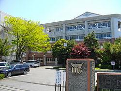 high school ・ College. 1173m to Ota Municipal Commercial High School