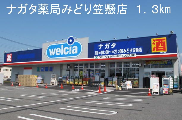 Dorakkusutoa. Nagata pharmacy green Kasakake shop 1300m until (drugstore)