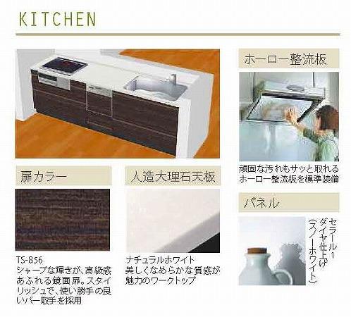 Same specifications photo (kitchen). 4 Building Specifications (with built-in dishwasher dryer, With water purifier shower faucet construction)