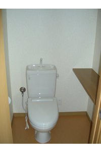 Toilet. There is a convenient shelf