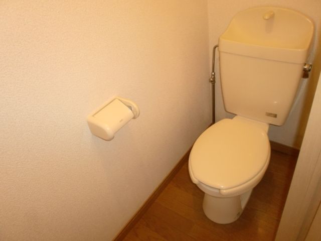 Toilet. It is a toilet with a clean. 