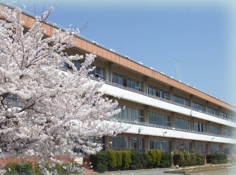 Junior high school. 1247m to Ota Municipal Ojima junior high school (junior high school)