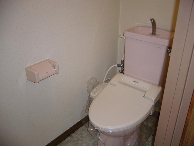 Toilet. Indoor (04 May 2012) shooting