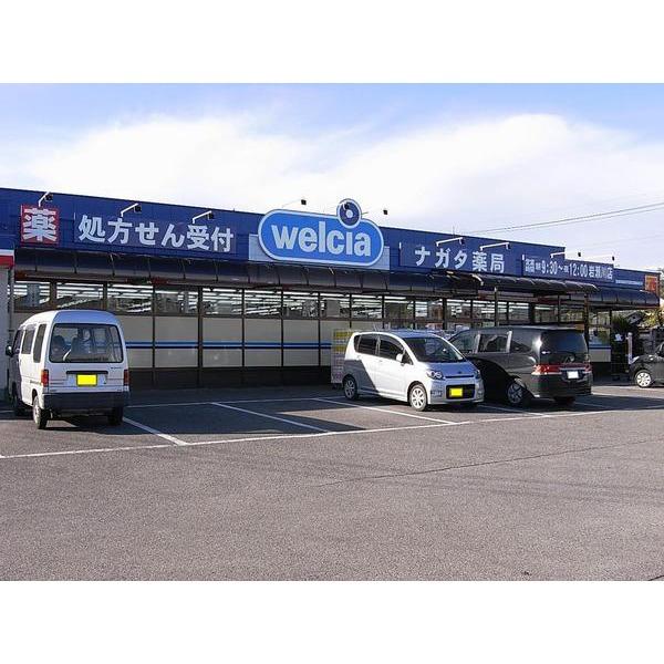 Drug store. Nagata pharmacy until Iwasegawa shop 472m
