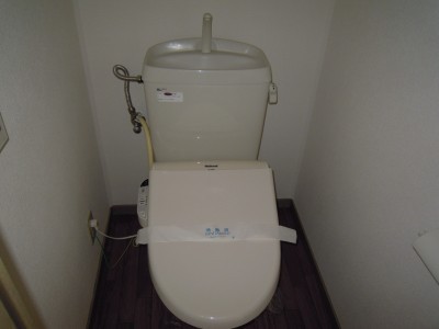 Toilet. Disinfection cleaning settled