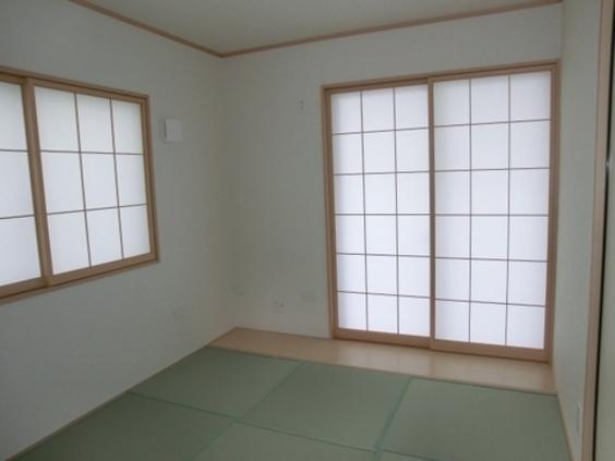 Non-living room. Stylish heckling tatami