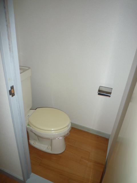 Toilet. Flooring is a new re-covered already.