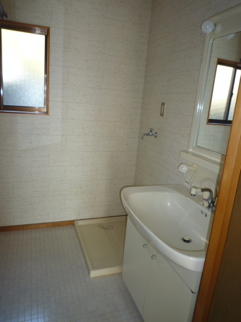 Washroom. Washbasin with shower