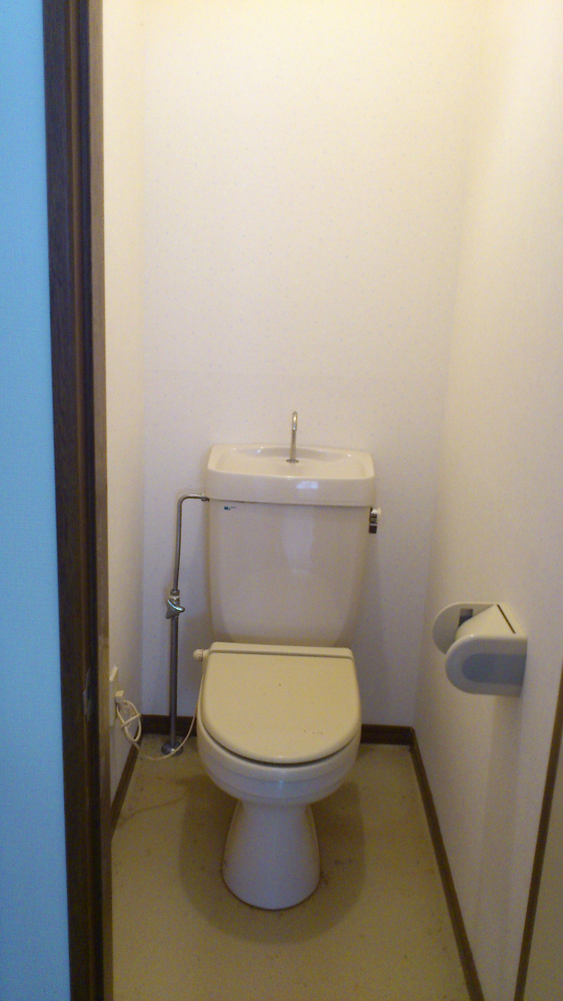 Toilet