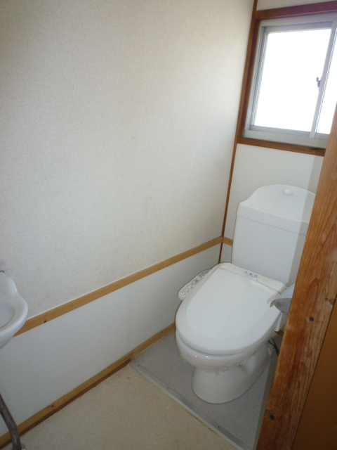 Toilet. There is warm water washing toilet seat.