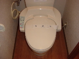 Toilet. It is with warm water washing heating toilet seat