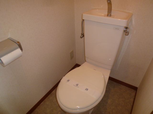 Toilet. It becomes a simple toilet. 