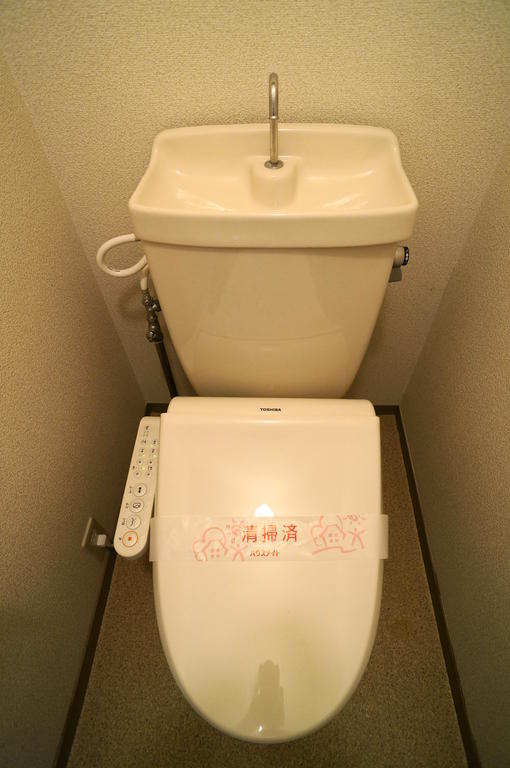 Toilet. It comes with a bidet