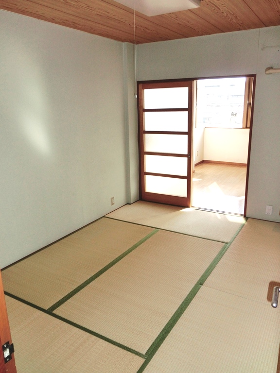 Other room space. Japanese style room