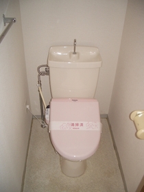 Toilet. With warm water washing toilet seat