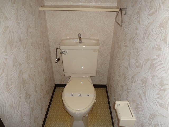 Toilet. It is easy to use if there is a shelf. 