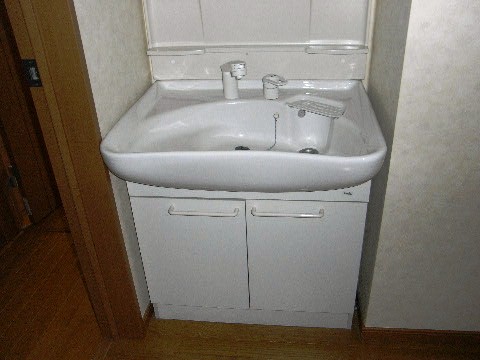 Washroom. Shampoo dresser