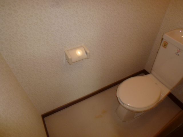 Toilet. Space spacious toilet