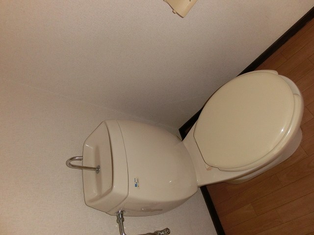 Toilet. Toilet