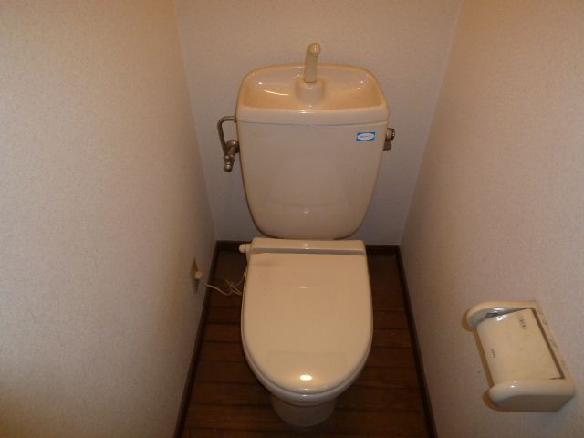 Toilet. Toilet with cleanliness.