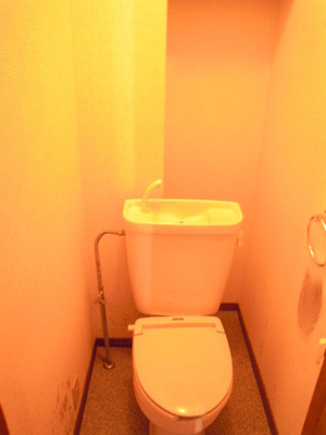 Toilet. Toilet