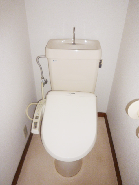 Toilet. Warm water washing toilet seat