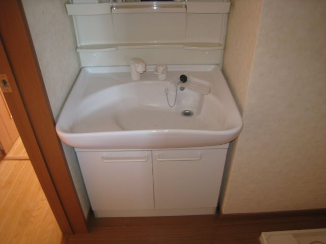 Washroom. It comes with shampoo dresser.