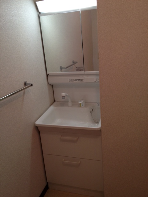 Washroom. New shampoo dresser