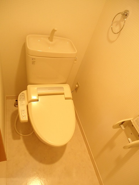 Toilet. Warm water washing toilet seat! 