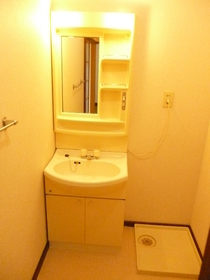 Washroom. Washbasin & Indoor Laundry Area