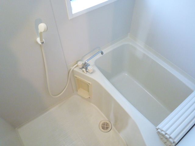 Bath. Room with a bright clean