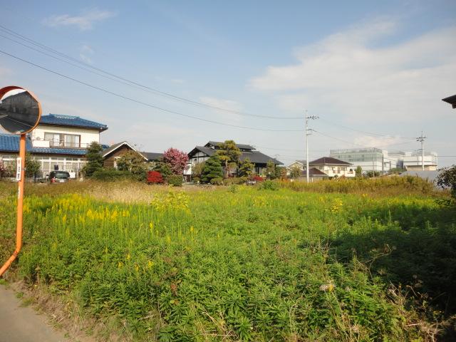 Local land photo