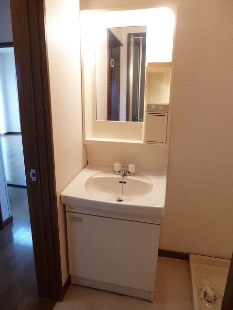 Washroom. With shampoo dresser! 