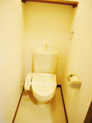 Toilet. Toilet